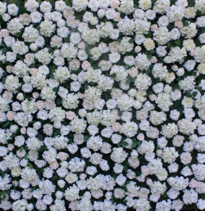 white-flower-wall